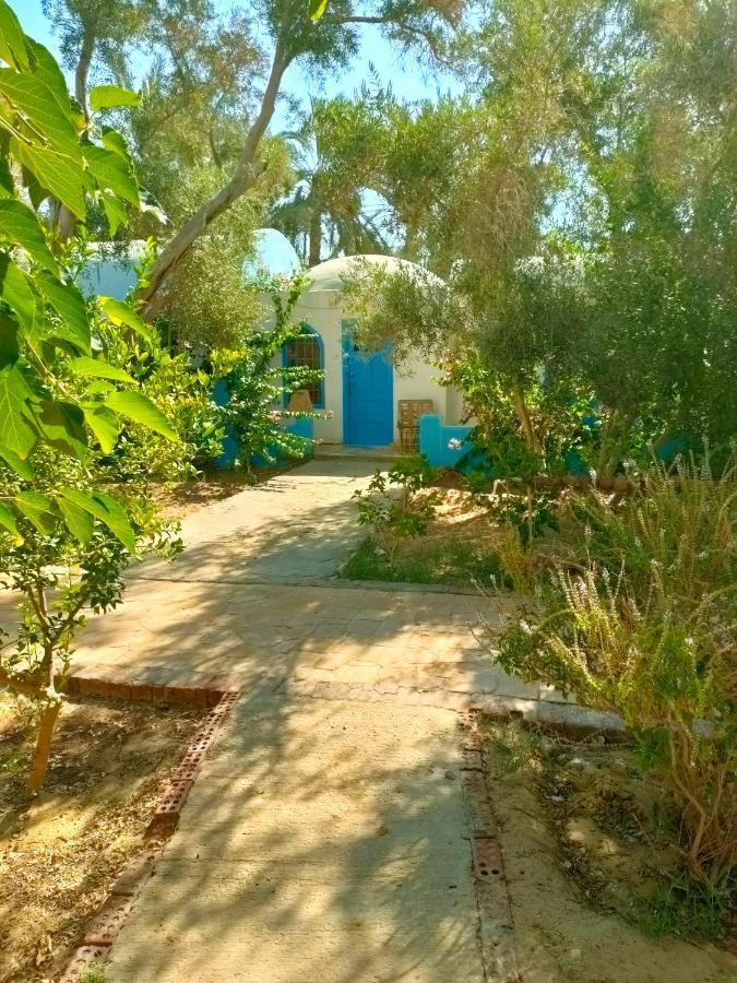 Panta Lodge Siwa Siwa Oasis 外观 照片